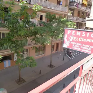 El Ciervo Pensjonat